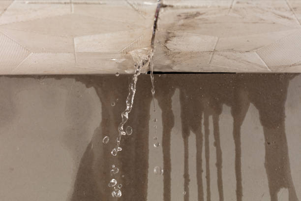 Professional Structural Drying technician working in Louisville, IL